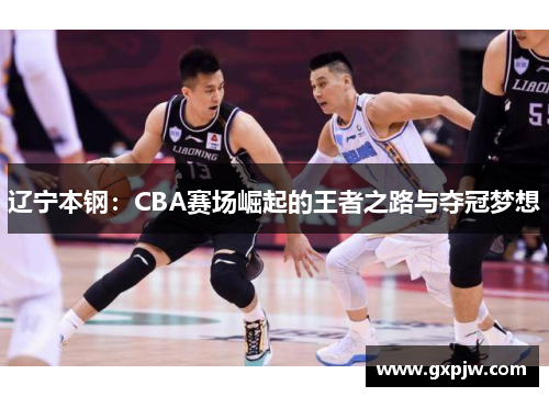 辽宁本钢：CBA赛场崛起的王者之路与夺冠梦想
